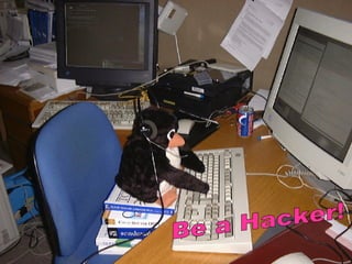 Be a Hacker! 