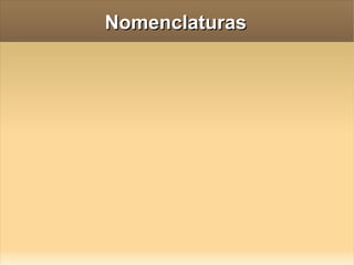 Nomenclaturas 