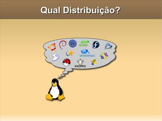 Qual Distribuição? 