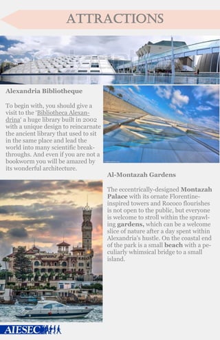 Attractions
Alexandria Bibliotheque
To begin with, you should give a
visit to the ‘Bibliotheca Alexan-
drina‘ a huge library built in 2002
with a unique design to reincarnate
the ancient library that used to sit
in the same place and lead the
world into many scientific break-
throughs. And even if you are not a
bookworm you will be amazed by
its wonderful architecture.
Al-Montazah Gardens
The eccentrically-designed Montazah
Palace with its ornate Florentine-
inspired towers and Rococo flourishes
is not open to the public, but everyone
is welcome to stroll within the sprawl-
ing gardens, which can be a welcome
slice of nature after a day spent within
Alexandria's hustle. On the coastal end
of the park is a small beach with a pe-
culiarly whimsical bridge to a small
island.
 