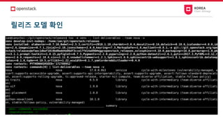 릴리즈 모델 확인
 