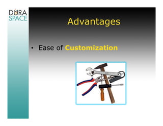 Advantages

• Ease of Customization
 