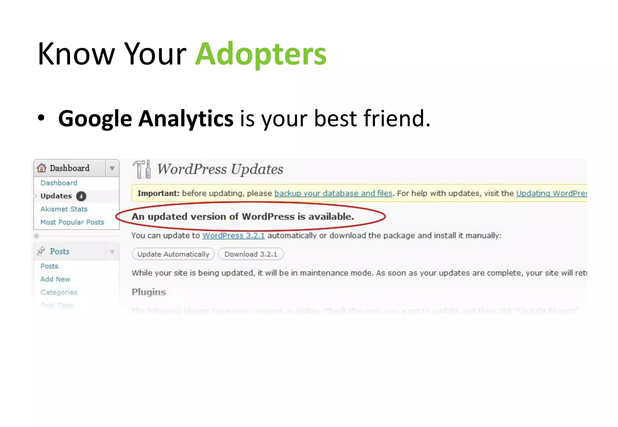 Know Your Adopters
• Google Analytics is your best friend.
 
