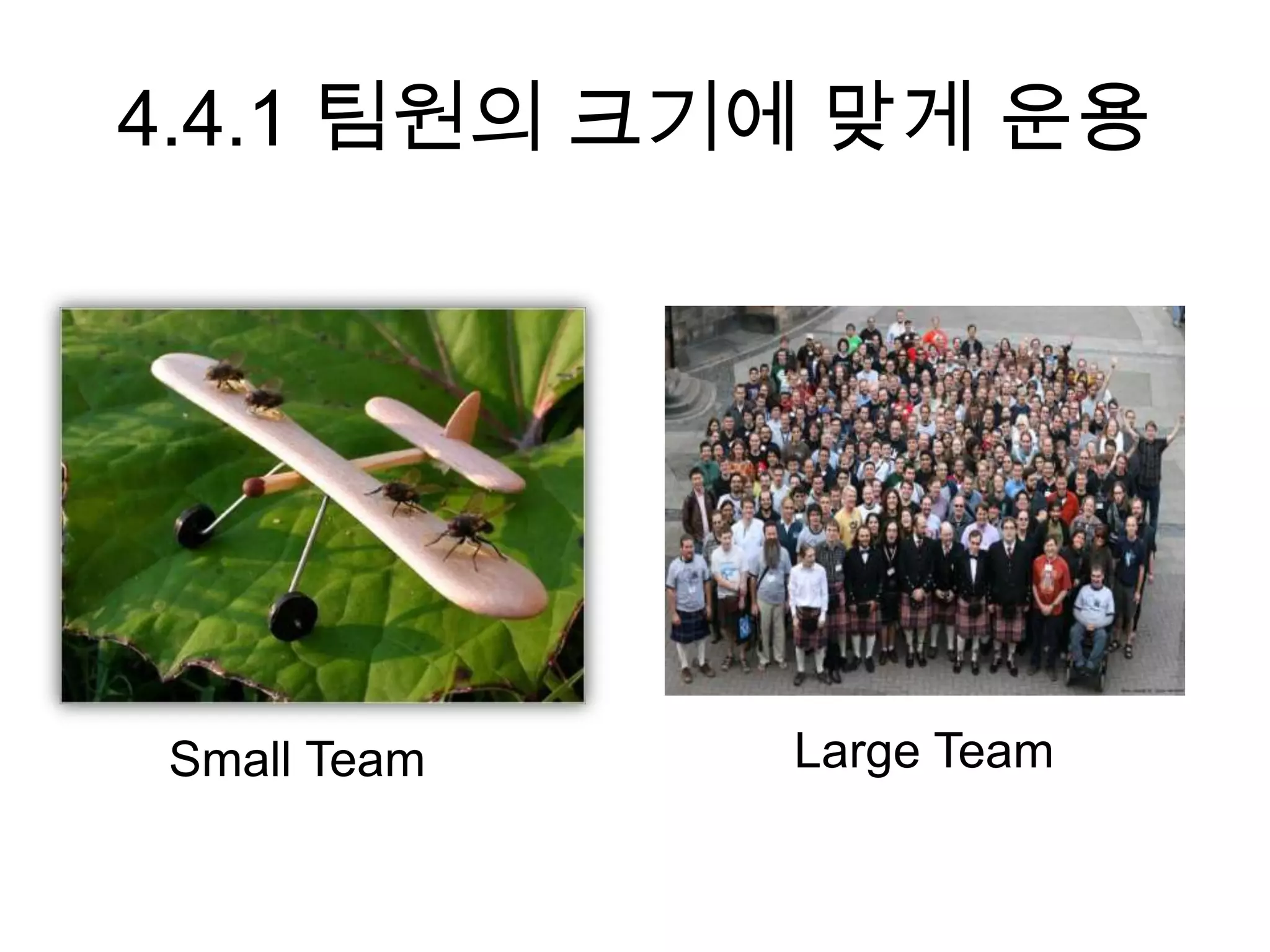 4.4.1 팀원의 크기에 맞게 운용




Small Team   Large Team
 