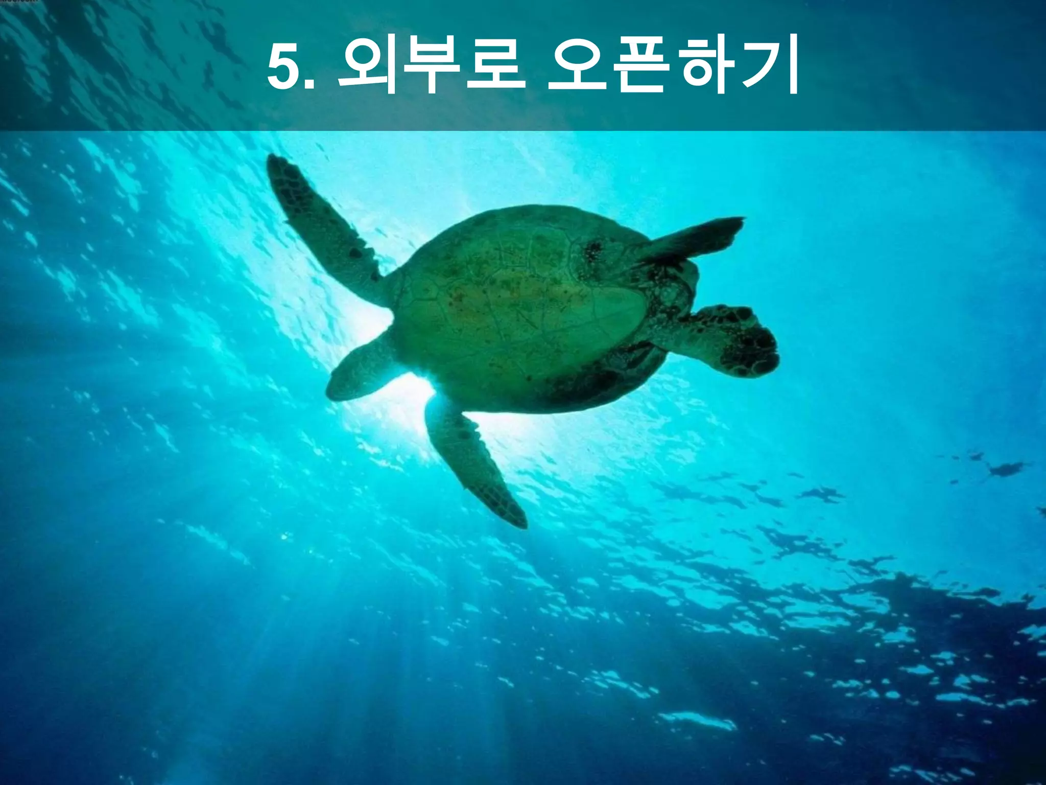 5. 외부로 오픈하기
 