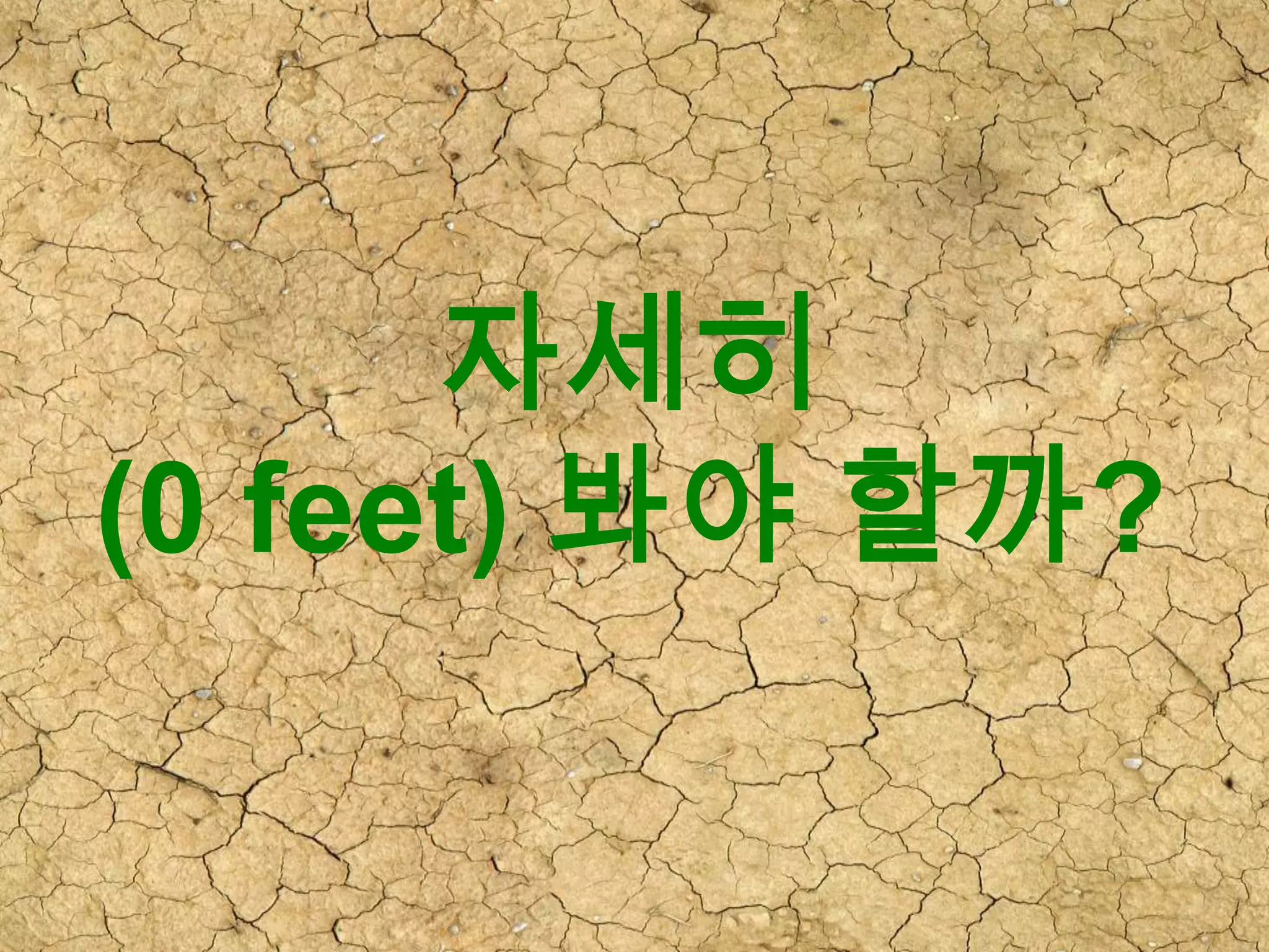 자세히
(0 feet) 봐야 할까?
 