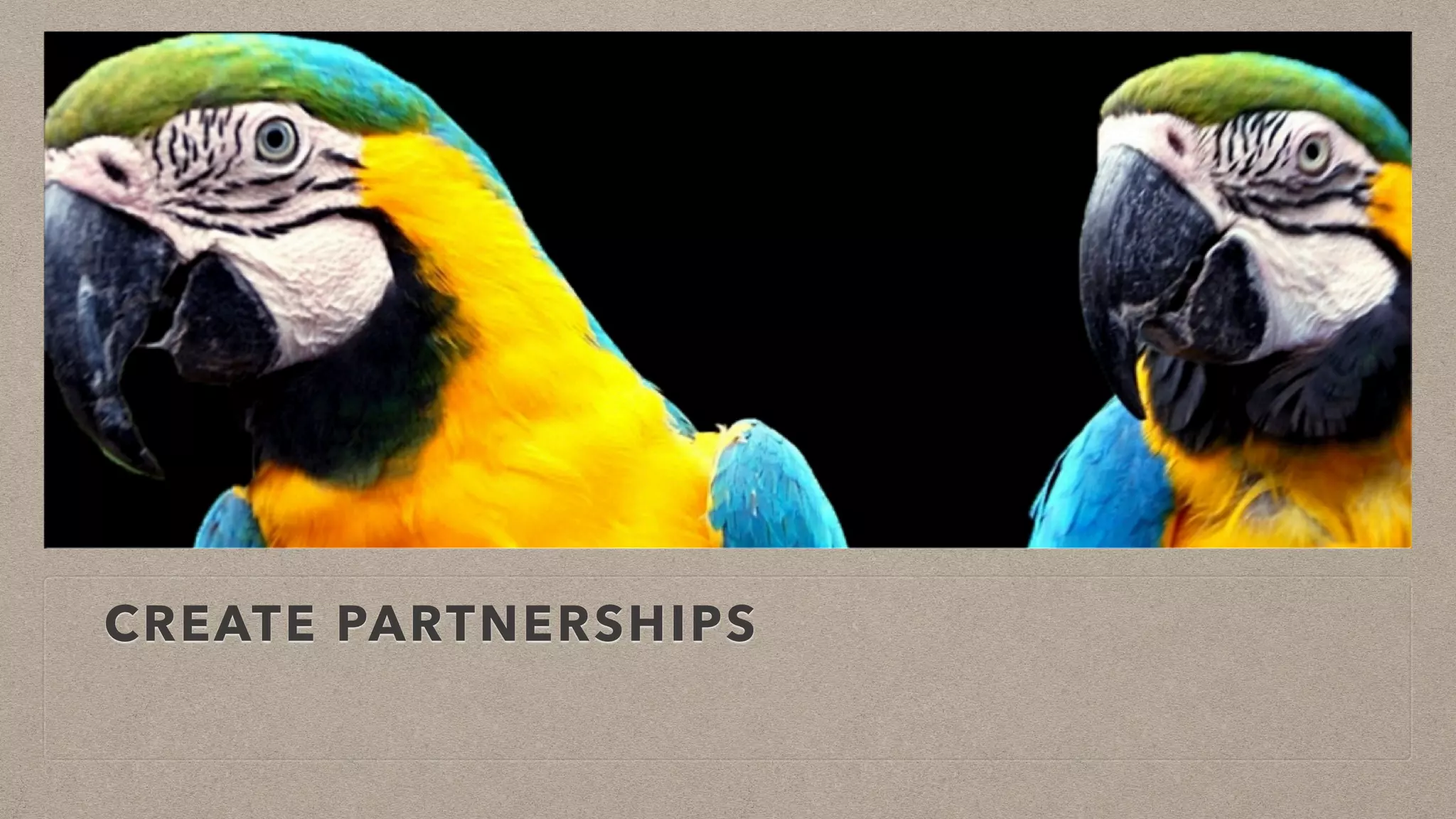 CREATE PARTNERSHIPS
 