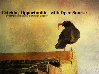 Catching Opportunities with Open Source by Stefan Koopmanschap & Christian Schaefer 