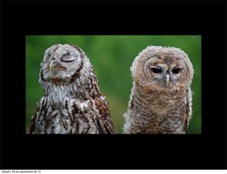 sábado, 28 de septiembre de 13
 