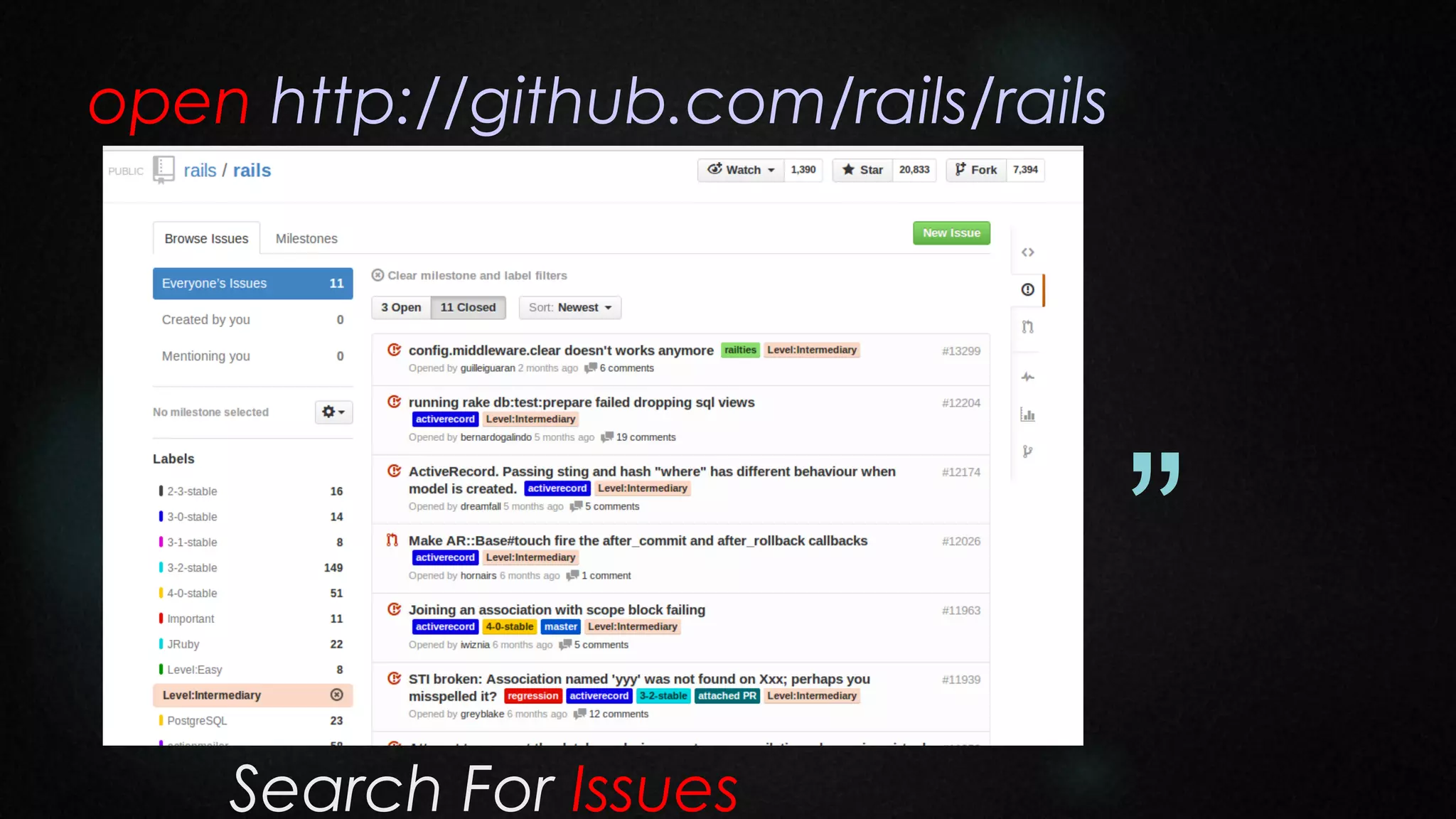 open http://github.com/rails/rails

“
”
Search For Issues

 