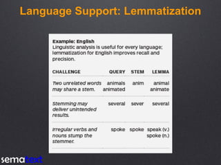 Language Support: Lemmatization
 
