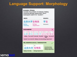 Language Support: Morphology
 