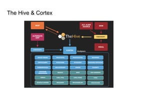 The Hive & Cortex
 