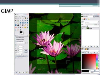 GIMP
 