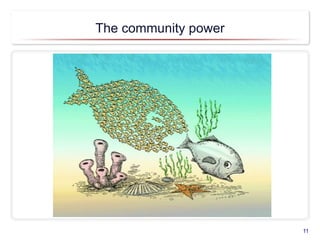 The community power
11
 