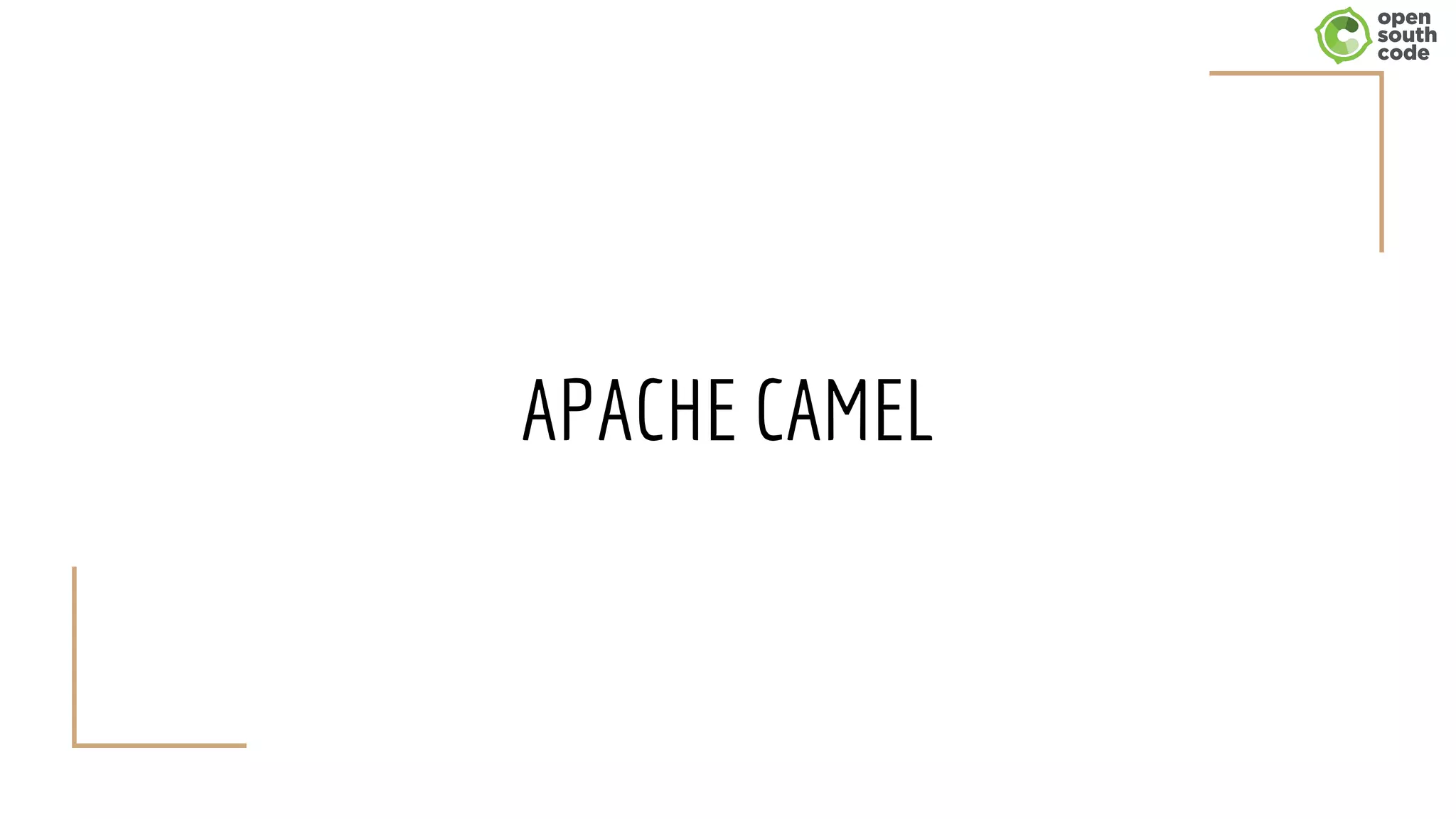 APACHE CAMEL
 