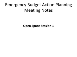 Emergency Budget Action Planning Meeting Notes ,[object Object]