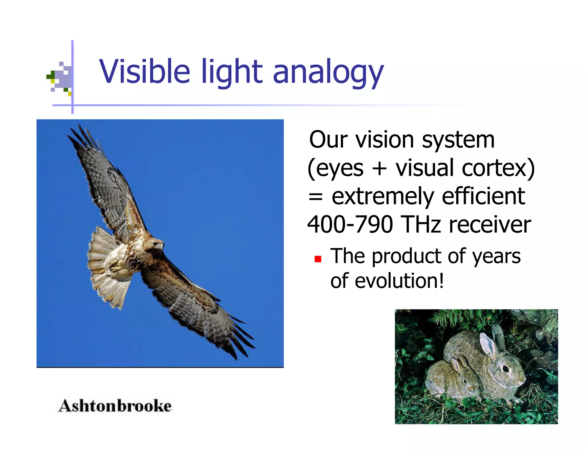 Open Spectrum - Physics, Engineering, Commerce and Politics