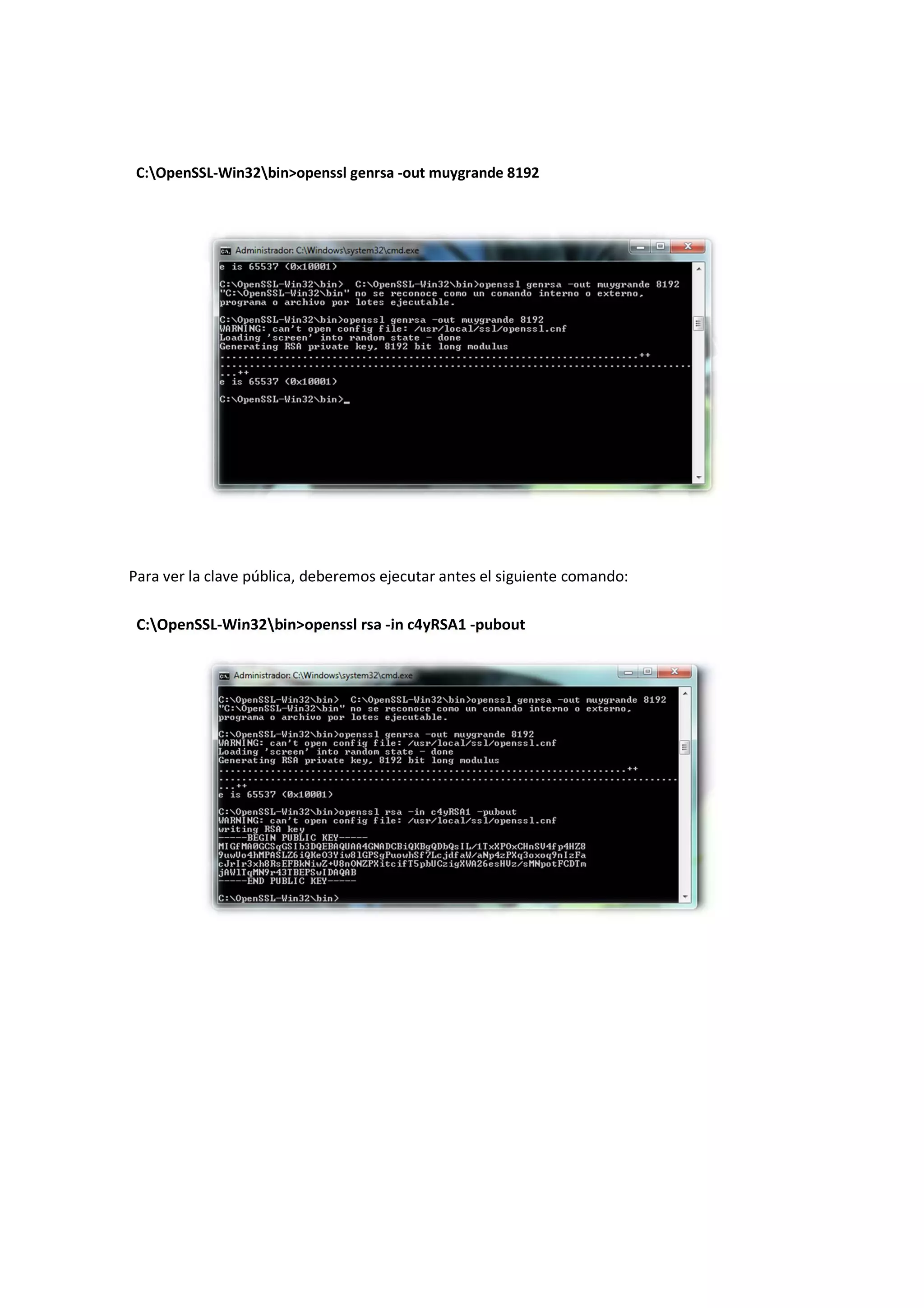 C:OpenSSL-Win32bin>openssl genrsa -out muygrande 8192

Para ver la clave pública, deberemos ejecutar antes el siguiente comando:
C:OpenSSL-Win32bin>openssl rsa -in c4yRSA1 -pubout

 