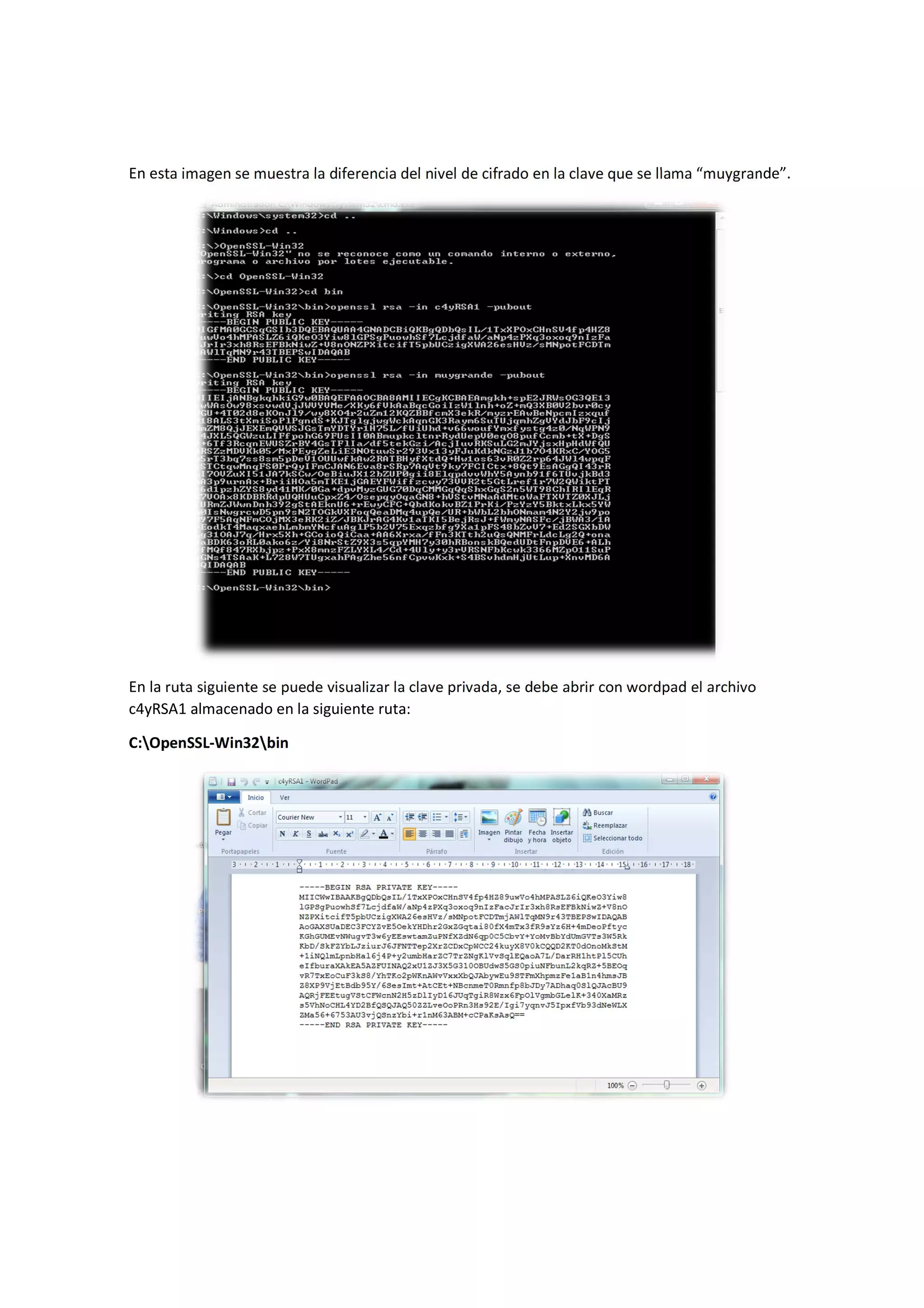 En esta imagen se muestra la diferencia del nivel de cifrado en la clave que se llama “muygrande”.

En la ruta siguiente se puede visualizar la clave privada, se debe abrir con wordpad el archivo
c4yRSA1 almacenado en la siguiente ruta:
C:OpenSSL-Win32bin

 