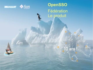 OpenSSO Microsoft Interop