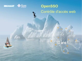 OpenSSO Microsoft Interop