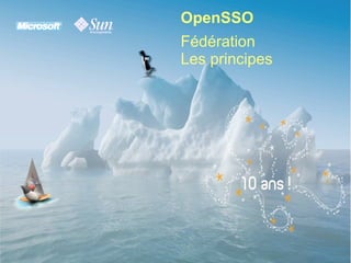 OpenSSO Microsoft Interop