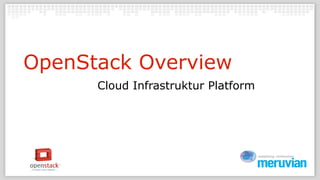 OpenStack Overview
      Cloud Infrastruktur Platform
 