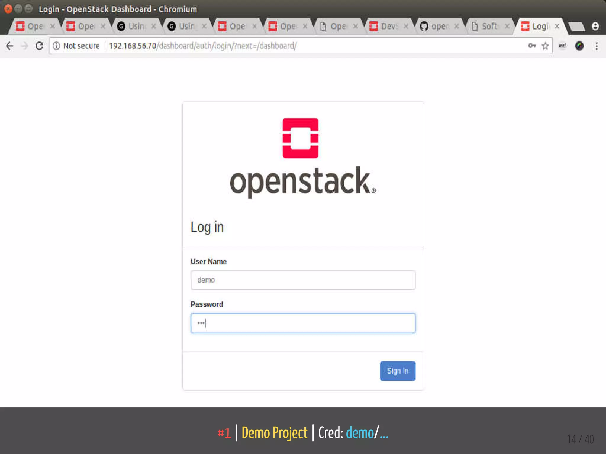 #1 | Demo Project | Cred: demo/... 14 / 40
 