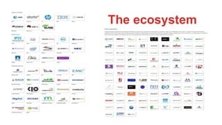 The ecosystem
 