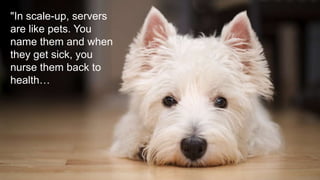 "In scale-up, servers
are like pets. You name
them and when they
get sick, you nurse
them back to health…
 