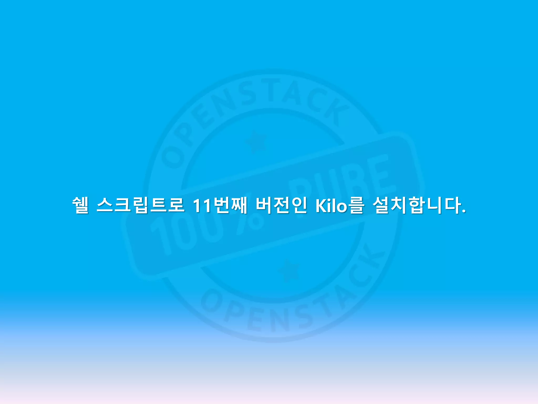 쉘 스크립트로 11번째 버전인 Kilo를 설치합니다.
 