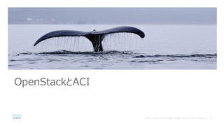 OpenStackとACI
 