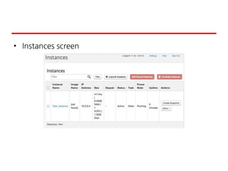 • Instances screen
 