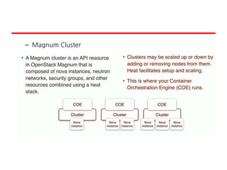 – Magnum Cluster
 