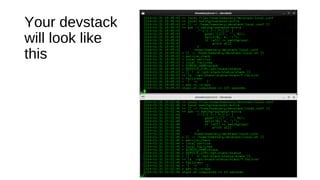 Your devstack
will look like
this

 