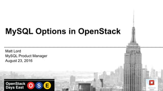 MySQL Options in OpenStack
Matt Lord
MySQL Product Manager
August 23, 2016
 
