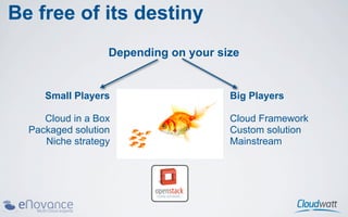Be free of its destiny
                  Depending on your size


     Small Players                    Big Players

     Cloud in a Box                   Cloud Framework
  Packaged solution                   Custom solution
     Niche strategy                   Mainstream
 