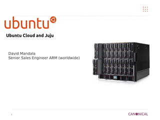 Ubuntu Cloud and Juju



 David Mandala
 Senior Sales Engineer ARM (worldwide)




  1
 