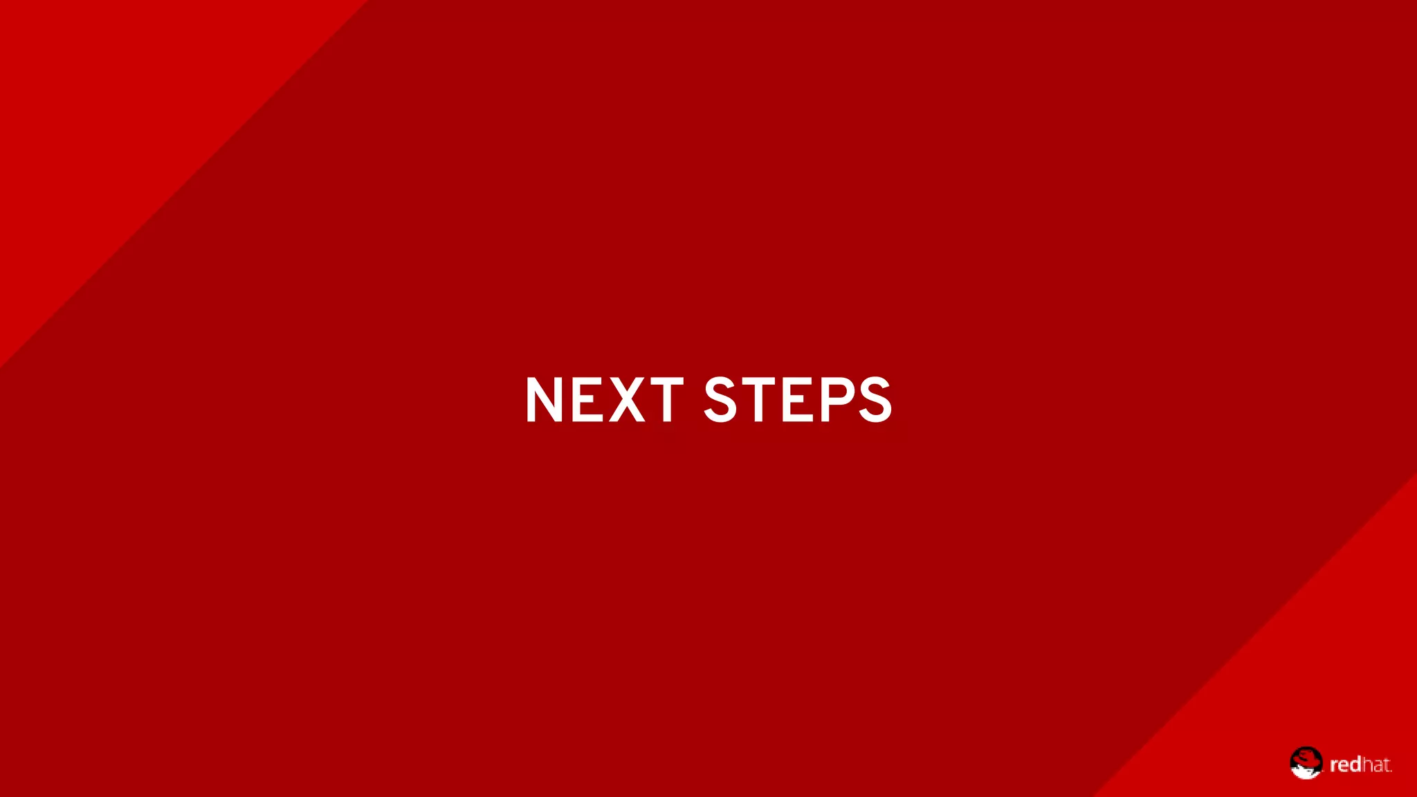 NEXT STEPS 