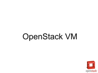 OpenStack VM
 