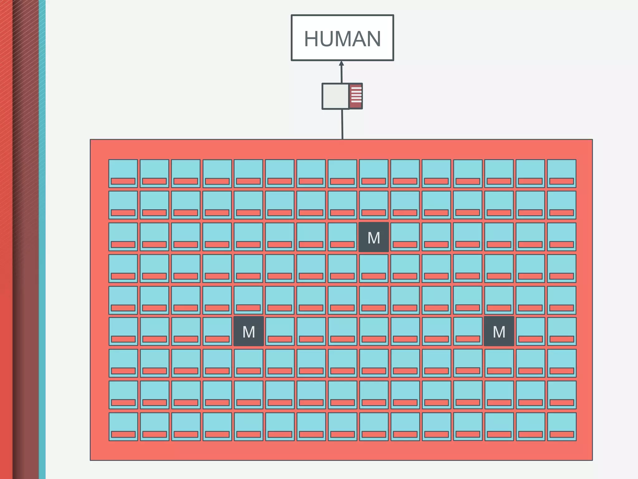 HUMAN




        M




M           M
 