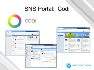 SNS Portal: Codi

 