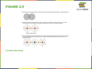 FIGURE 2.9
Covalent Bonding
 