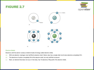 FIGURE 2.7
Electron Shells
Electrons orbit the atomic nucleus at distinct levels of energy called electron shells.
(a) With one electron, hydrogen only half-fills its electron shell. Helium also has a single shell, but its two electrons completely fill it.
(b) The electrons of carbon completely fill its first electron shell, but only half-fills its second.
(c) Neon, an element that does not occur in the body, has 10 electrons, filling both of its electron shells.
 