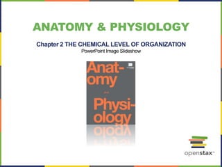 ANATOMY & PHYSIOLOGY
Chapter 2 THE CHEMICAL LEVEL OF ORGANIZATION
PowerPoint Image Slideshow
 