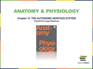 ANATOMY & PHYSIOLOGY
Chapter 15 THE AUTONOMIC NERVOUS SYSTEM
PowerPoint Image Slideshow
 