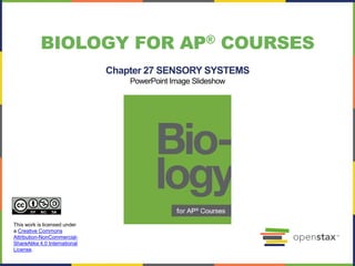 Chapter 27 SENSORY SYSTEMS
PowerPoint Image Slideshow
BIOLOGY FOR AP® COURSES
This work is licensed under
a Creative Commons
Attribution-NonCommercial-
ShareAlike 4.0 International
License.
 