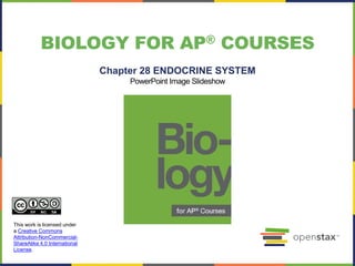 BIOLOGY FOR AP® COURSES
Chapter 28 ENDOCRINE SYSTEM
PowerPoint Image Slideshow
This work is licensed under
a Creative Commons
Attribution-NonCommercial-
ShareAlike 4.0 International
License.
 