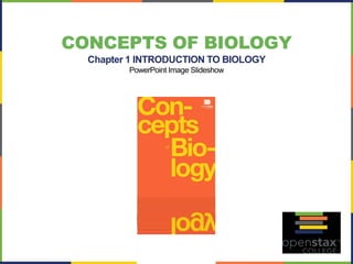 CONCEPTS OF BIOLOGY 
Chapter 1 INTRODUCTION TO BIOLOGY 
PowerPoint Image Slideshow  